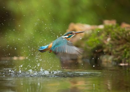 数据中台的数据应用