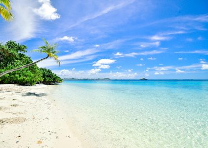 数据平台：数据统计分析方法